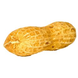 Földimogyoró 4 kg